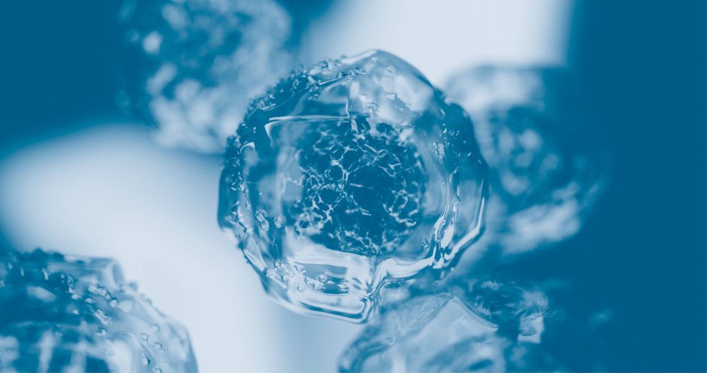 RWP_5-6_21_Aleksandra_Skomudek_Katarzyna_Bogacz_Jan_Szczegielniak_KOMORKI_MACIERZYSTE_iStock-1221576332