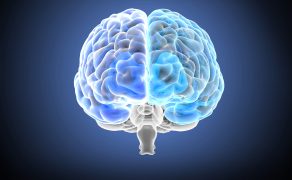 RWP_5-6_21_Lukasz_Wieczorkowski_Michal_Baranski_POSTEPOWANIE_FIZJOTERAPEUTYCZNE_iStock-1225446125