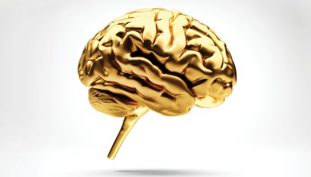 RWP_5-6_21_Rafal_Aleksander_Guzik_wiedza_w_praktyce_WIBROTERAPIA_NEUROLOGICZNA_iStock-1249957585