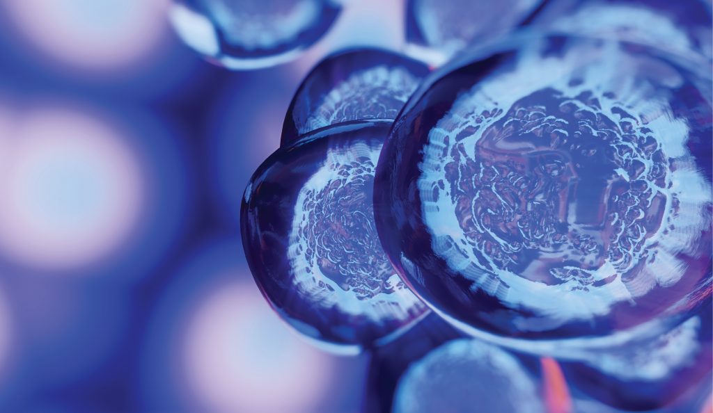 RWP_5-6_21_Robert_Kurasinski_zastosowanie-komorek-macierzystych-w-ortopedii_iStock-1184397035