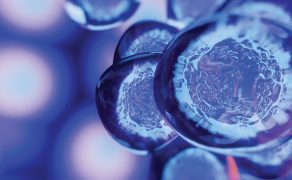 RWP_5-6_21_Robert_Kurasinski_zastosowanie-komorek-macierzystych-w-ortopedii-iStock-1184397035