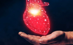 Wibroterapia kardiologiczna może wspierać rehabilitację i fizjoprofilaktykę zaburzeń sercowo-naczyniowych