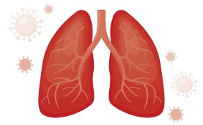 Postępowanie pocovidowe