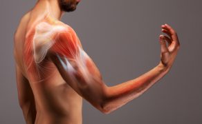 Rola fizjoterapeuty w procesie bioregeneracji