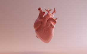 Kompleksowe postępowanie terapeutyczne  w leczeniu obrzęków obwodowych u chorych z niewydolnością serca i obniżoną frakcją wyrzutową (HFrEF) − studium przypadku