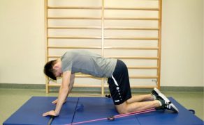 RWP_6_17_OSLABIENIE_SILY_MIESNIA_CZWOROGLOWEGO_UDA_FOT_3_A