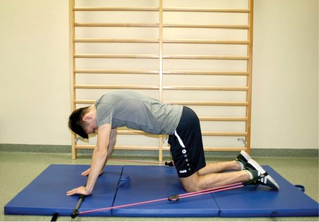 RWP_6_17_OSLABIENIE_SILY_MIESNIA_CZWOROGLOWEGO_UDA_FOT_3_A