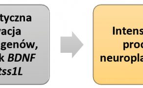 RWP_3_22_Bartosz_Bagrowski_INTEGRACJA_BILATERALNA_W_HOLISTYCZNEJ_NEUROREHABILITACJI_RYC_1