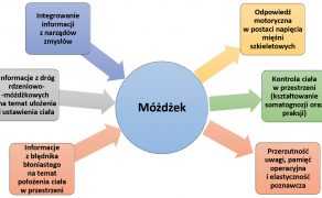 RWP_3_22_Bartosz_Bagrowski_INTEGRACJA_BILATERALNA_W_HOLISTYCZNEJ_NEUROREHABILITACJI_RYC_6