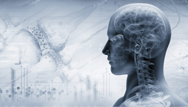 Zastosowanie technik neurodynamicznych w zaburzeniach funkcji ośrodkowego neuronu ruchowego − przegląd piśmiennictwa