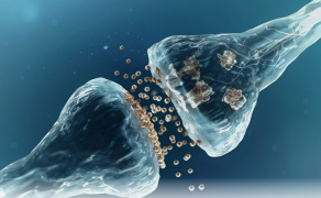 Zadania współczesnej neurorehabilitacji 