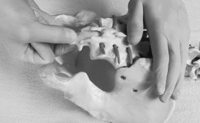 RWP_2_24_Janina_Slobodzian-Rakowska_TERAPIA_MANUALNA_RAKOWSKIEGO_FOT_5