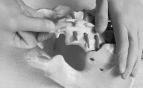 Techniki badania i terapii struktur dna miednicy z dostępu per rectum w koncepcji Terapii Manualnej Rakowskiego