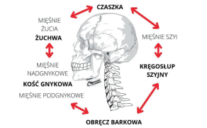 Metody rehabilitacji układu czynnościowego narządu żucia u dzieci z wrodzonymi wadami twarzoczaszki
