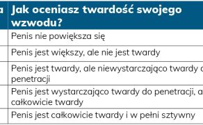 RWP_3_24_komentarz_ekspercki_Krzysztof_Rujna_FIZJOTERPIA_UROANDROLOGICZNA_TAB_2