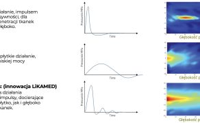 RWP_3_25_warto_wiedziec_Agnieszka_Zaucha-Zagała_FALA_UDERZENIOWA_W_FIZJOTERAPII_I_ORTOPEDII_RYC_2