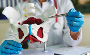 Rola elektrostymulacji mięśni dna miednicy w leczeniu obniżenia narządów miednicy