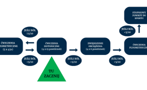 Ryc. 1. Proponowany schemat progresywnych ćwiczeń wzmacniających mięśnie łydki oraz ćwiczeń plyometrycznych. Stopień bólu (mierzony za pomocą numerycznej skali bólu) podczas ćwiczeń i po nich oraz zmęczenie mięśni wpływają na szybkość progresji (7)