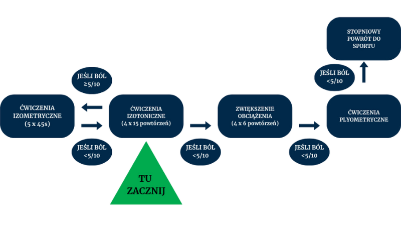 Ryc. 1. Proponowany schemat progresywnych ćwiczeń wzmacniających mięśnie łydki oraz ćwiczeń plyometrycznych. Stopień bólu (mierzony za pomocą numerycznej skali bólu) podczas ćwiczeń i po nich oraz zmęczenie mięśni wpływają na szybkość progresji (7)